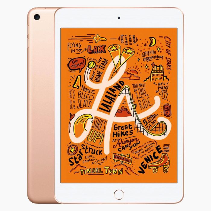 iPad Mini 5 256 Go 4G