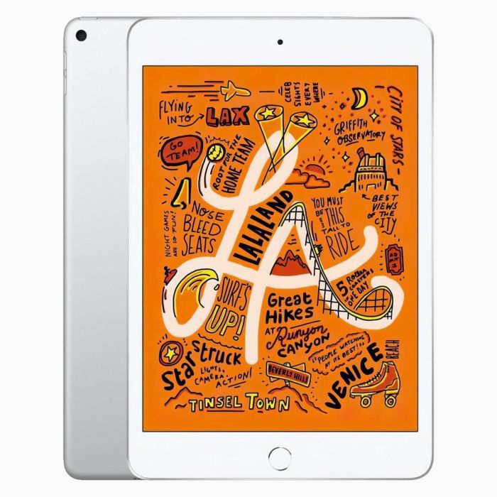 iPad Mini 5 256 Go 4G