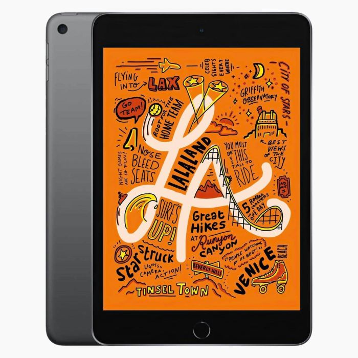 iPad Mini 5 256 Go 4G