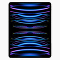 iPad Pro 12.9 256 Go (2022)