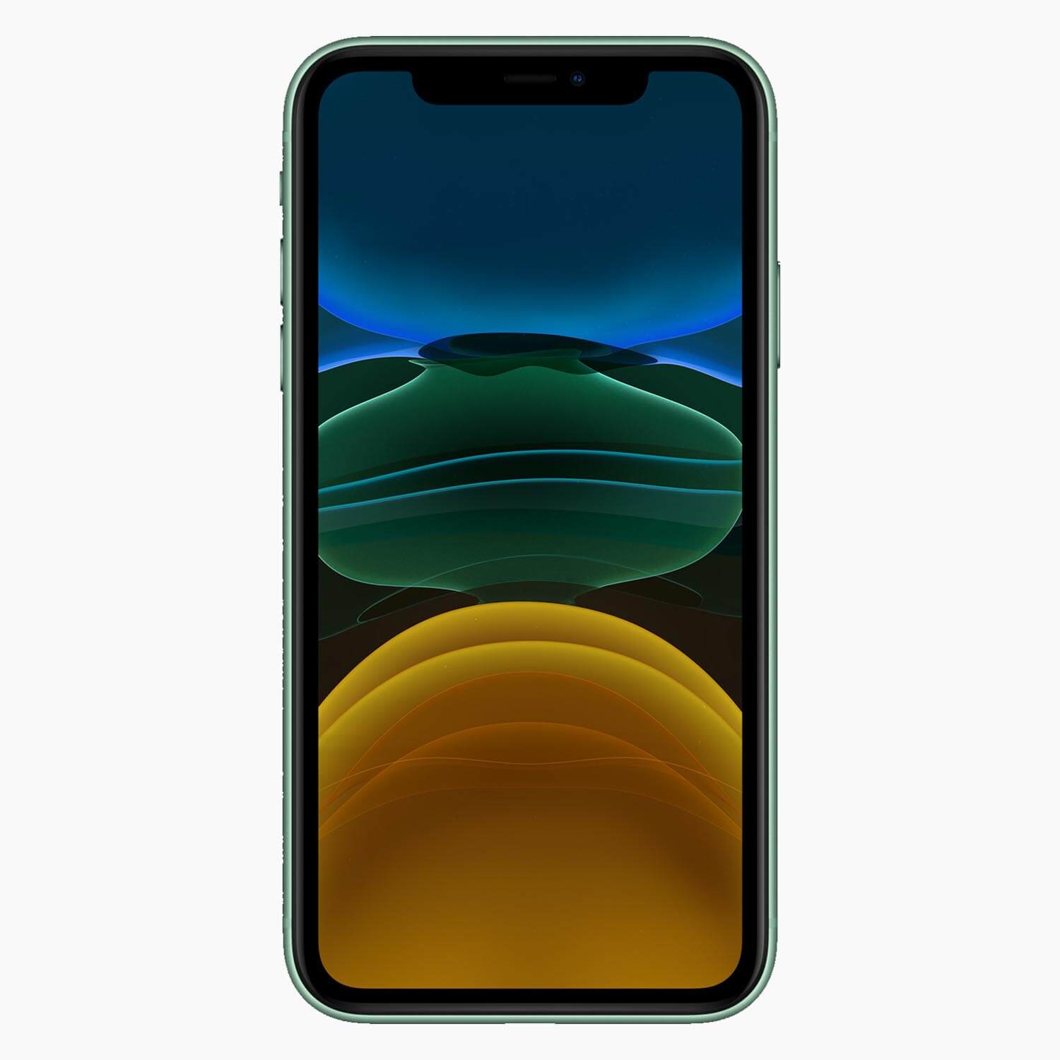 iPhone 11 256 Go